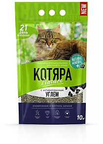 Котяра